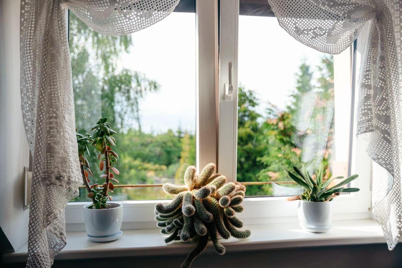 Zielona Parcela Pisz Exteriér fotografie